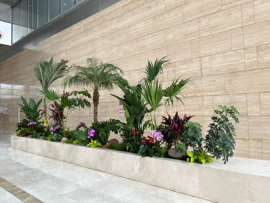 宁波余姚绿化养护哪家好